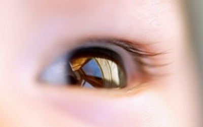 blog-image