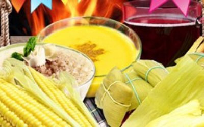 blog-image