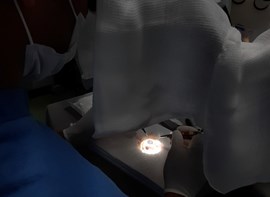 Alunos do primeiro ano de residência médica do Instituto Brasileiro de Oftalmologia e Prevenção da Cegueira (IBOPC/HHCL) treinam cirurgia de pterígio em WET LAB