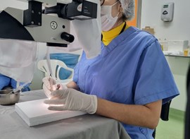 Alunos do primeiro ano de residência médica do Instituto Brasileiro de Oftalmologia e Prevenção da Cegueira (IBOPC/HHCL) treinam cirurgia de pterígio em WET LAB