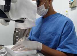 Alunos do primeiro ano de residência médica do Instituto Brasileiro de Oftalmologia e Prevenção da Cegueira (IBOPC/HHCL) treinam cirurgia de pterígio em WET LAB